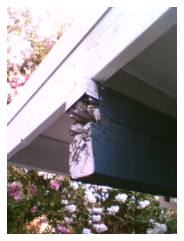 Failed Roof Beam Repair 14