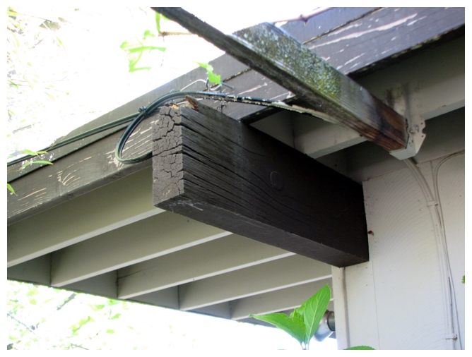 Severe Roof Beam Dry Rot img3