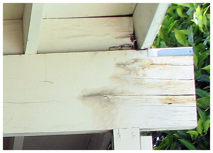 Classic Signs of Rotted Roof Beams 10